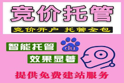 竞价排名的投放策略与效果评估案例